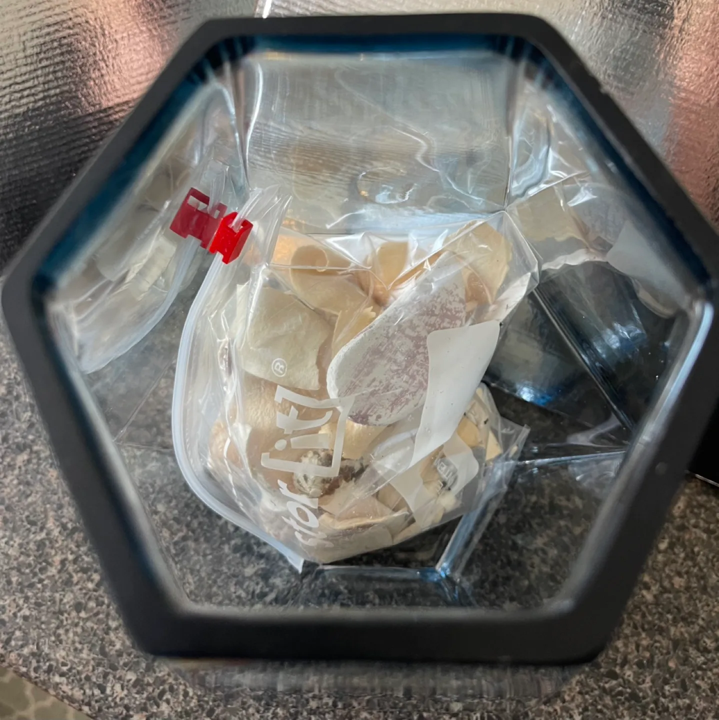 Geometric Glass Vase with Seashells image indicator(4)