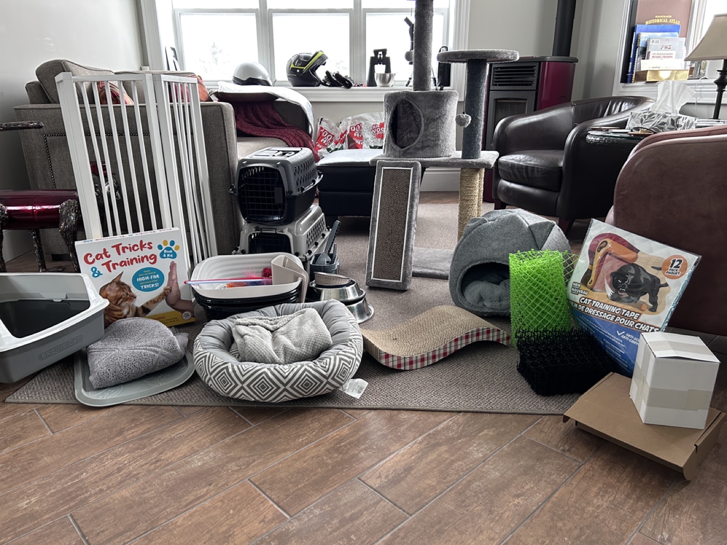 Cat Tree & Accessories Bundle