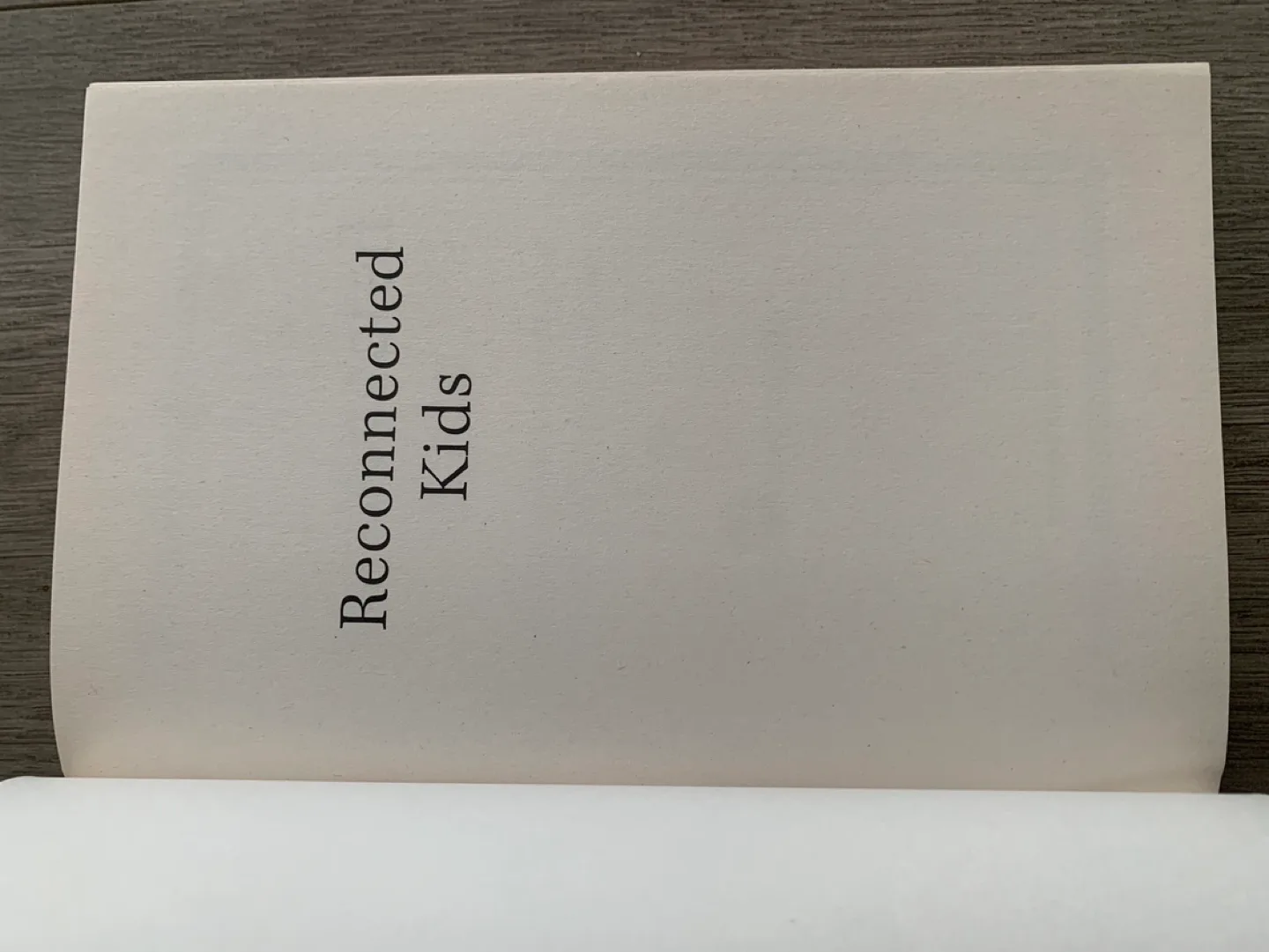 Reconnected Kids / Parenting Book 📕 🏈 image indicator(5)