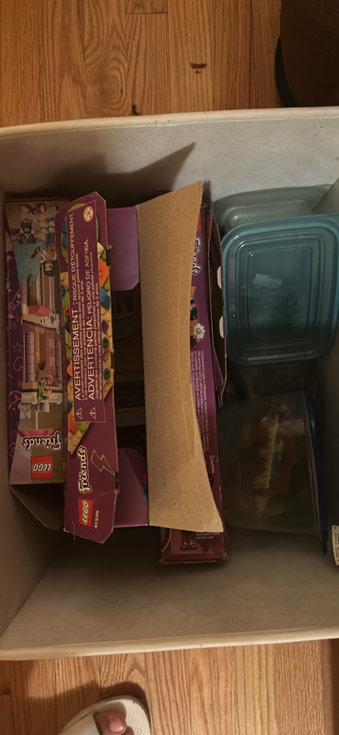 LEGO Friends Sets