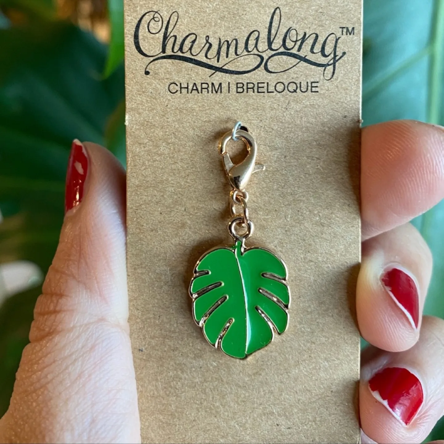 Charmalong Monstera Leaf Charm (new condition) 🏈 image indicator(2)