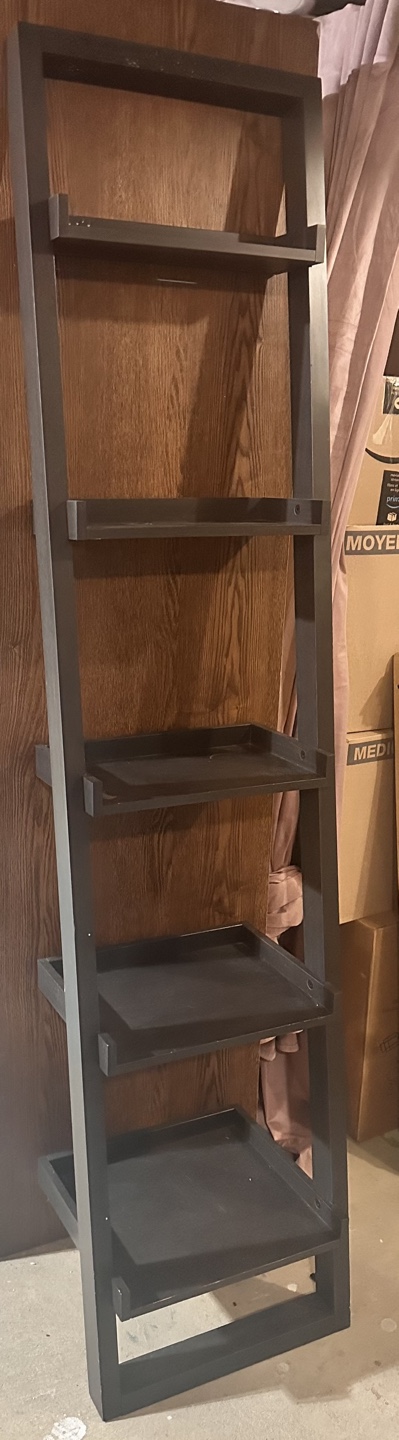 Tall Black Ladder Shelf