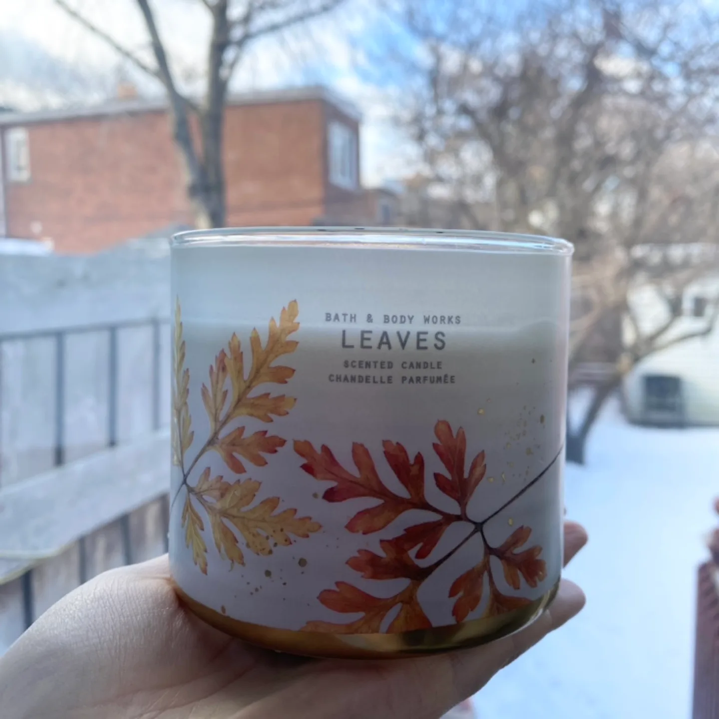 (Gently used) Bath & Body Works Leaves Scented Candle - 3-Wick image indicator(3)