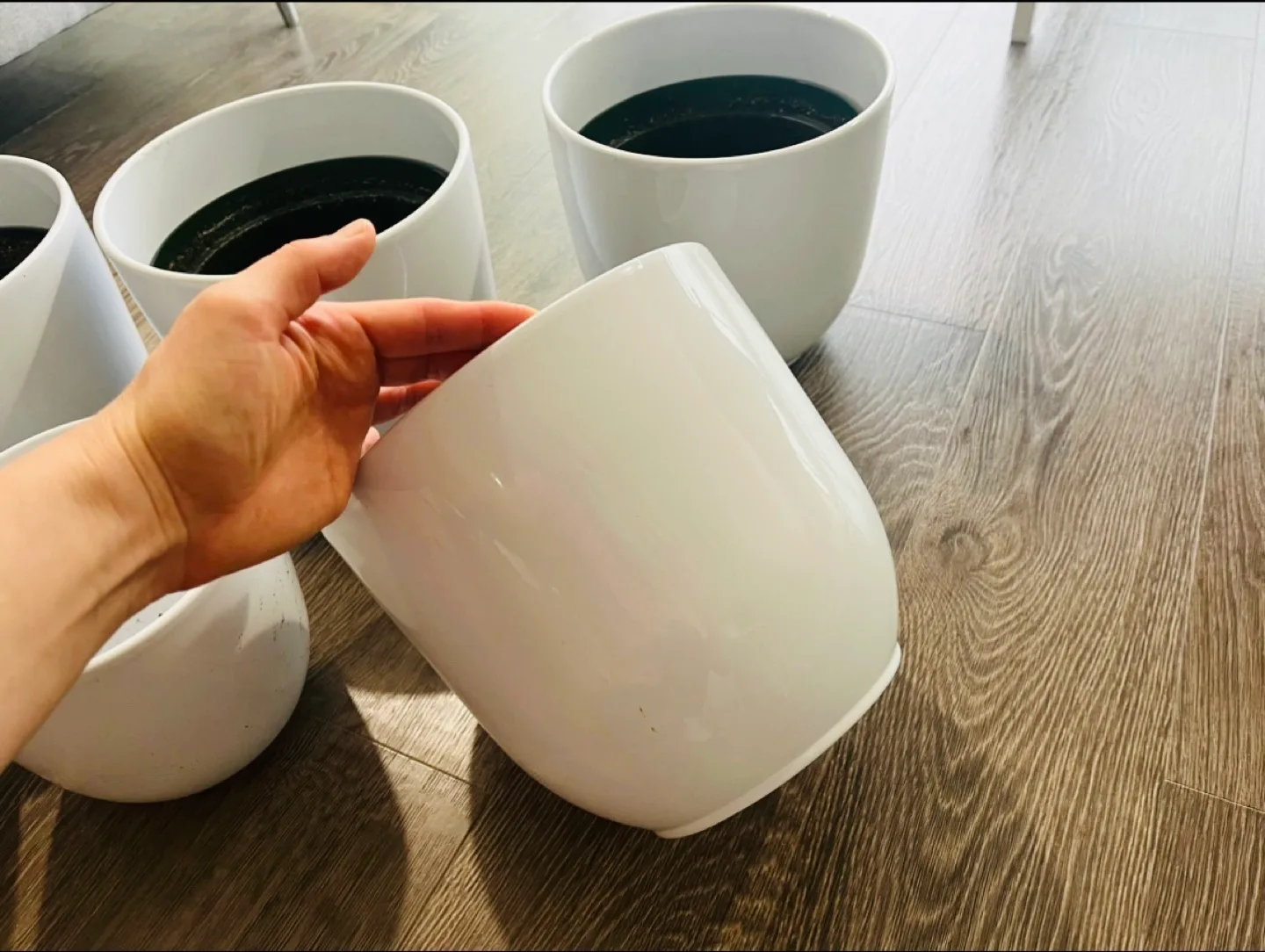 White ceramic planters - multiple image indicator(2)