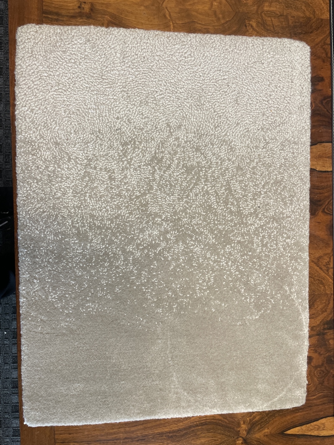 Modern Beige Area Rug/ Door Mat