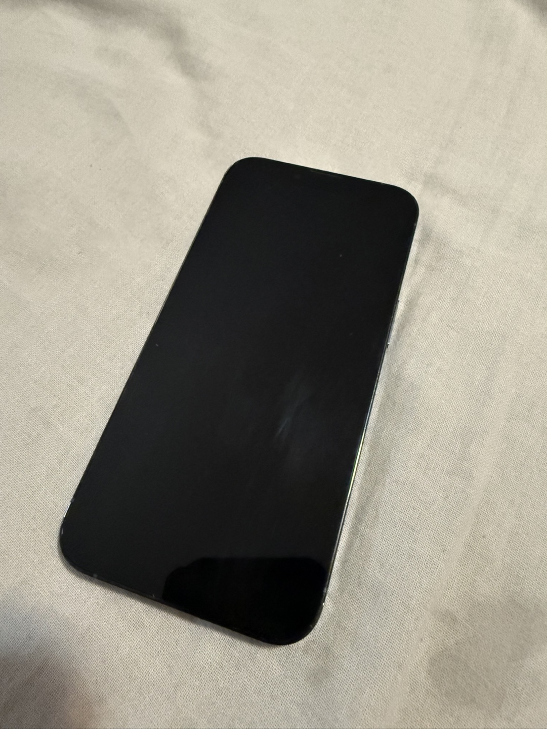 iPhone 13 pro 1TB Sierra Blue - Excellent Condition - photo 3