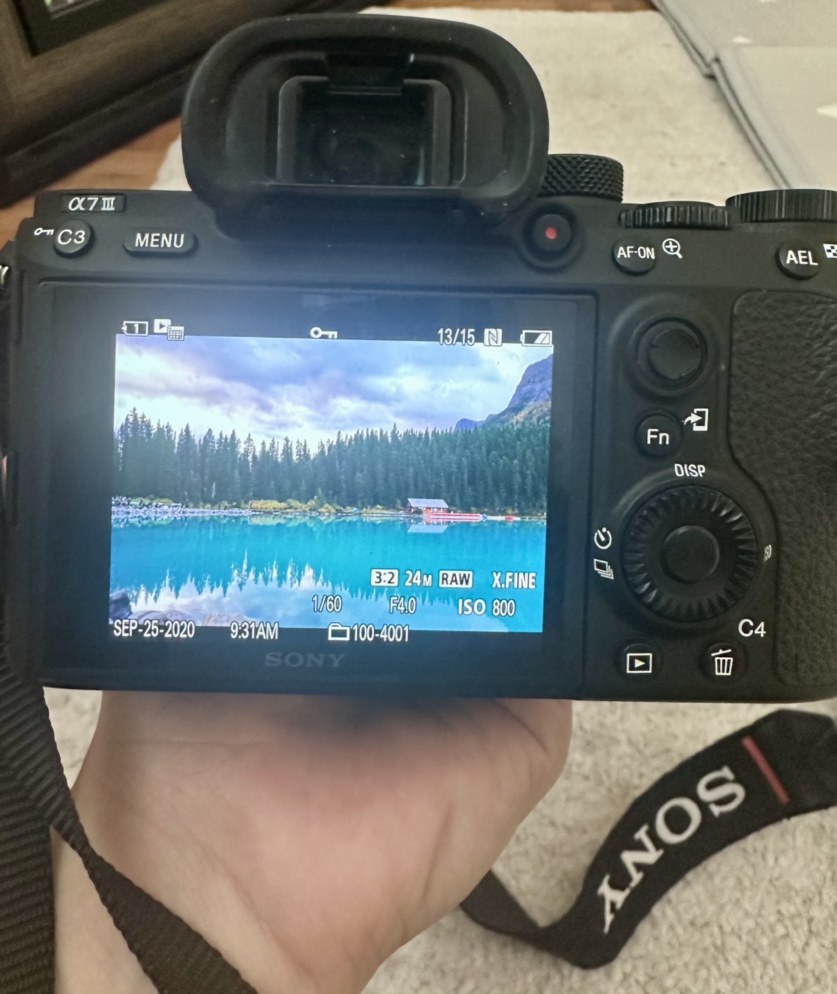 Sony Alpha 7 III Mirrorless Camera with 50mm Lens - photo 4