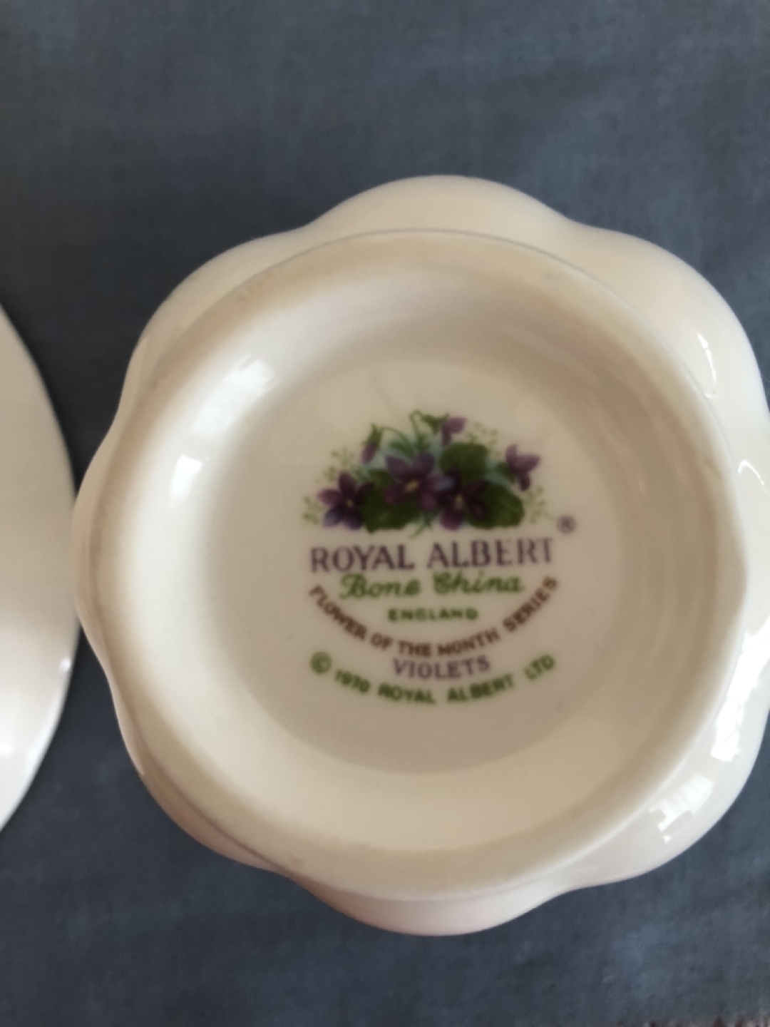 Royal Albert ‘February’ Teacup & Saucer - photo 3
