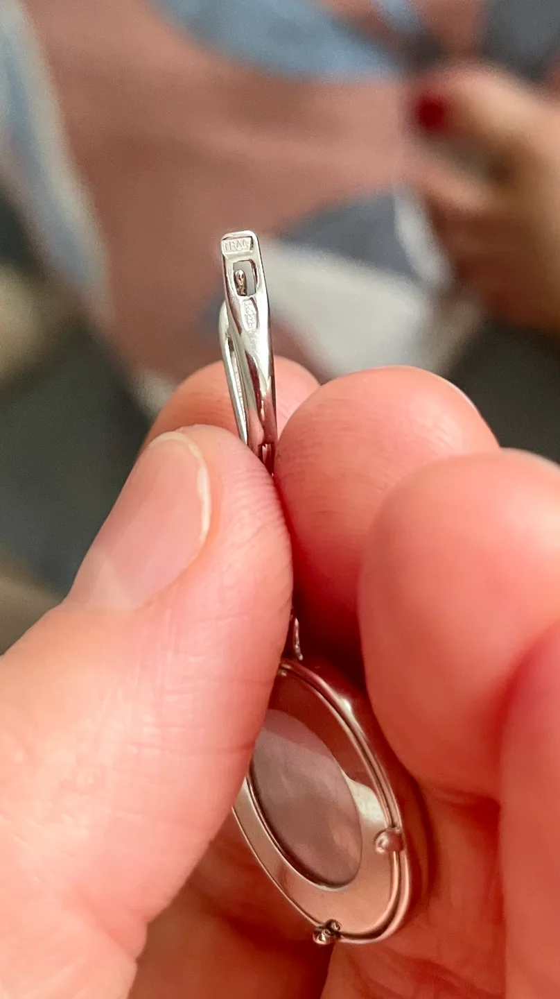 925 Silver Drop Earrings image indicator(2)