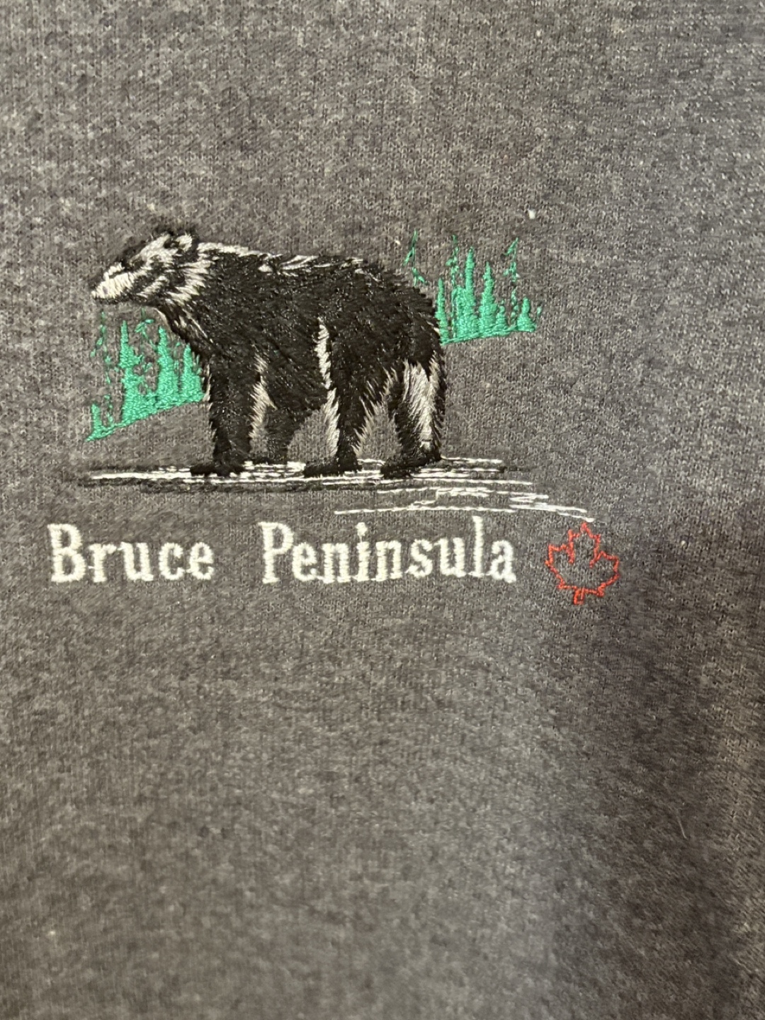 Hoodie Embroidered Zip-Up by - Bruce Peninsula XL - photo 3