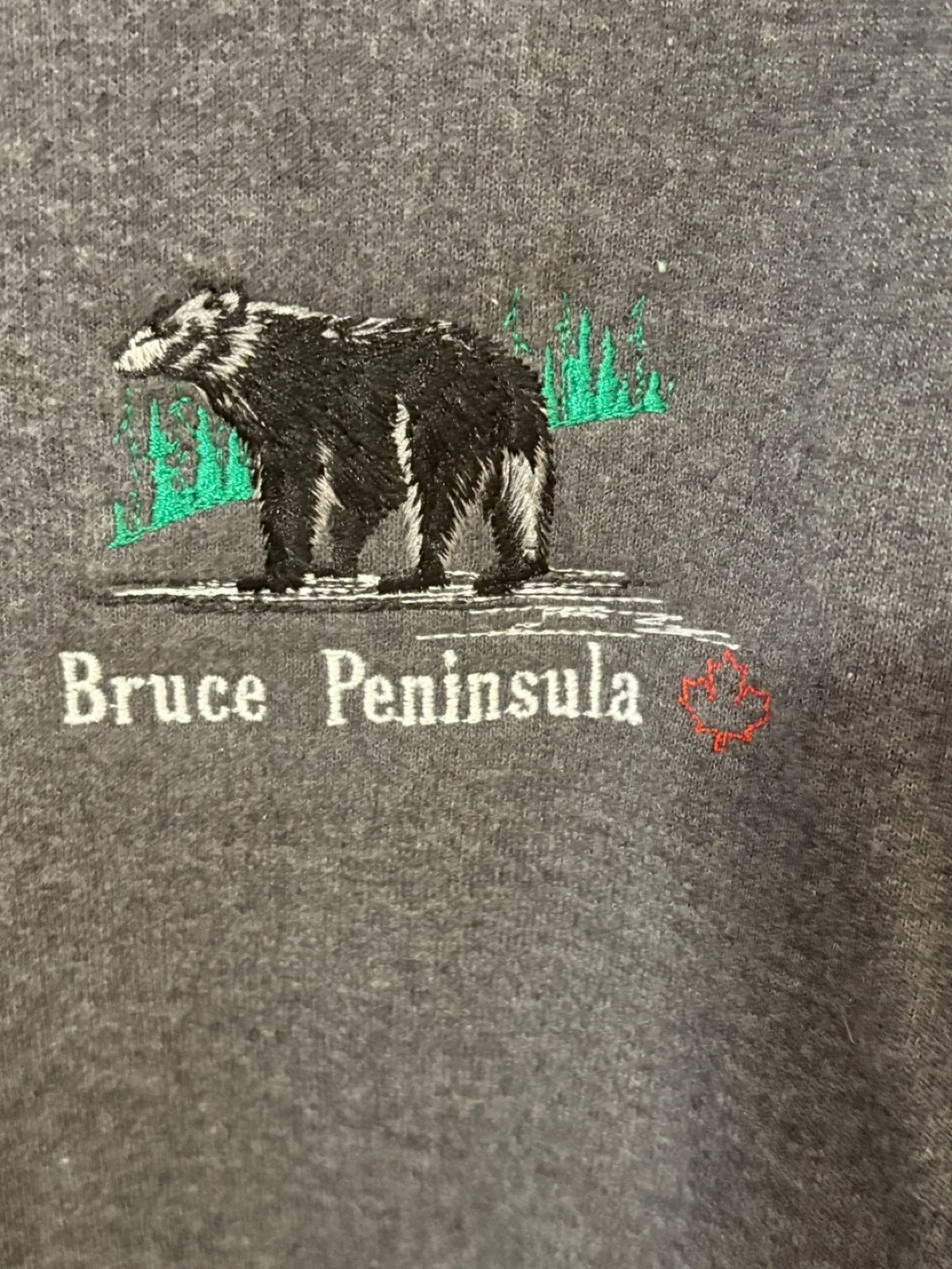 Hoodie Embroidered Zip-Up by - Bruce Peninsula XL image indicator(3)