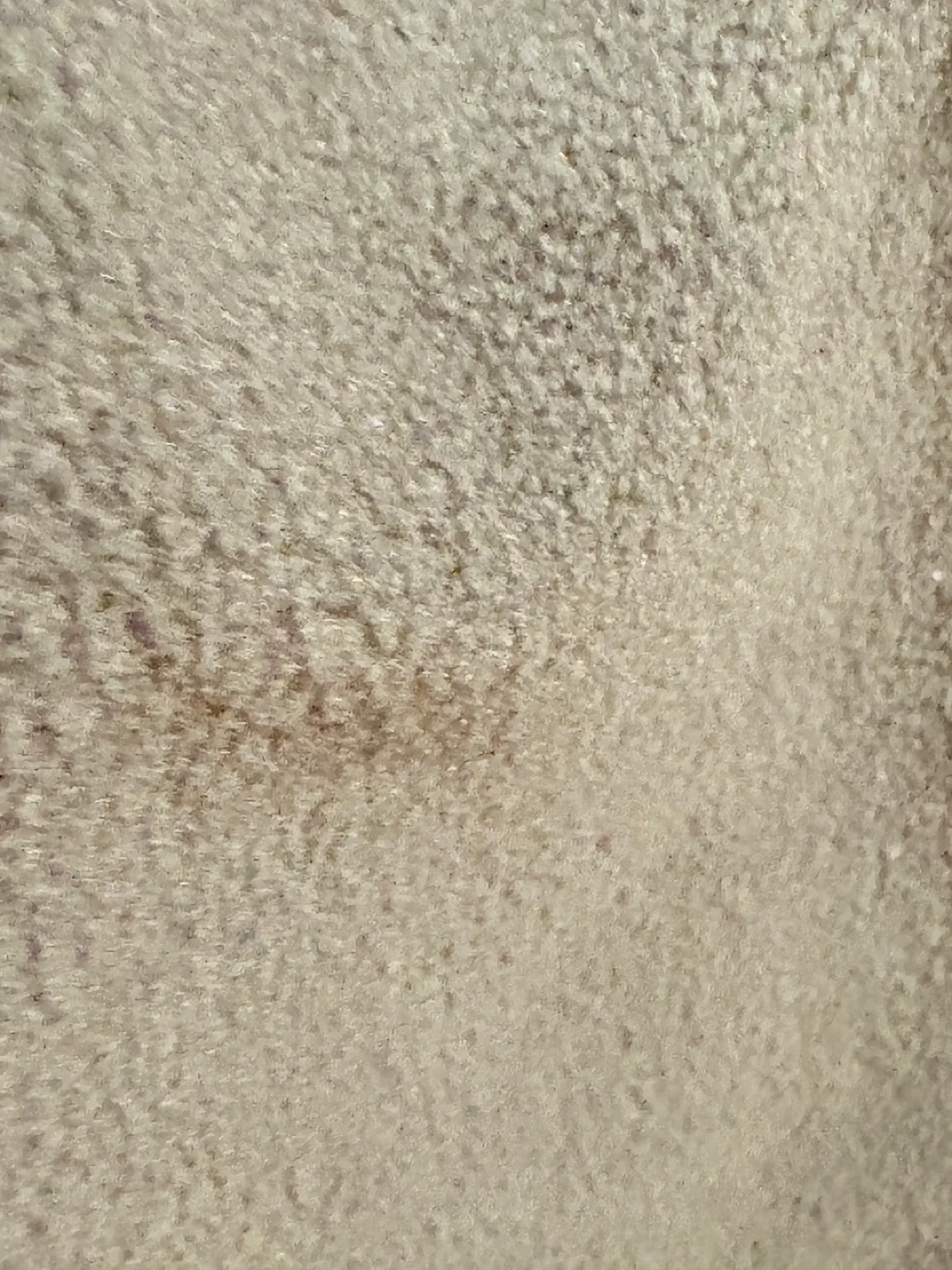 Grey Hooded Jacket by: Red Head Brand Co. Size XL image indicator(3)