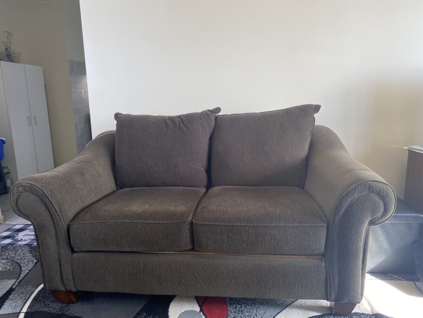Loveseat Couch Sofa