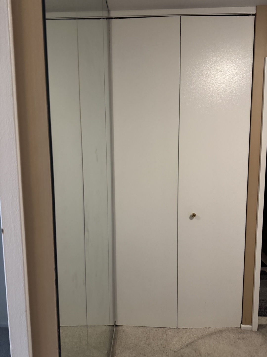 White Closet Bi- folding  Doors - photo 2