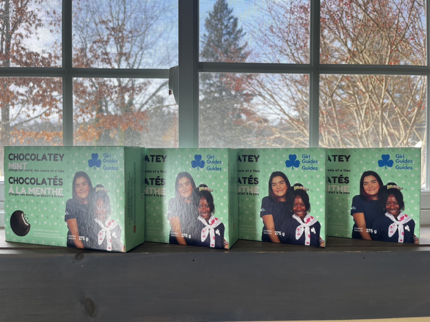 4 boxes of Girl Guides Chocolaty Mint Cookies