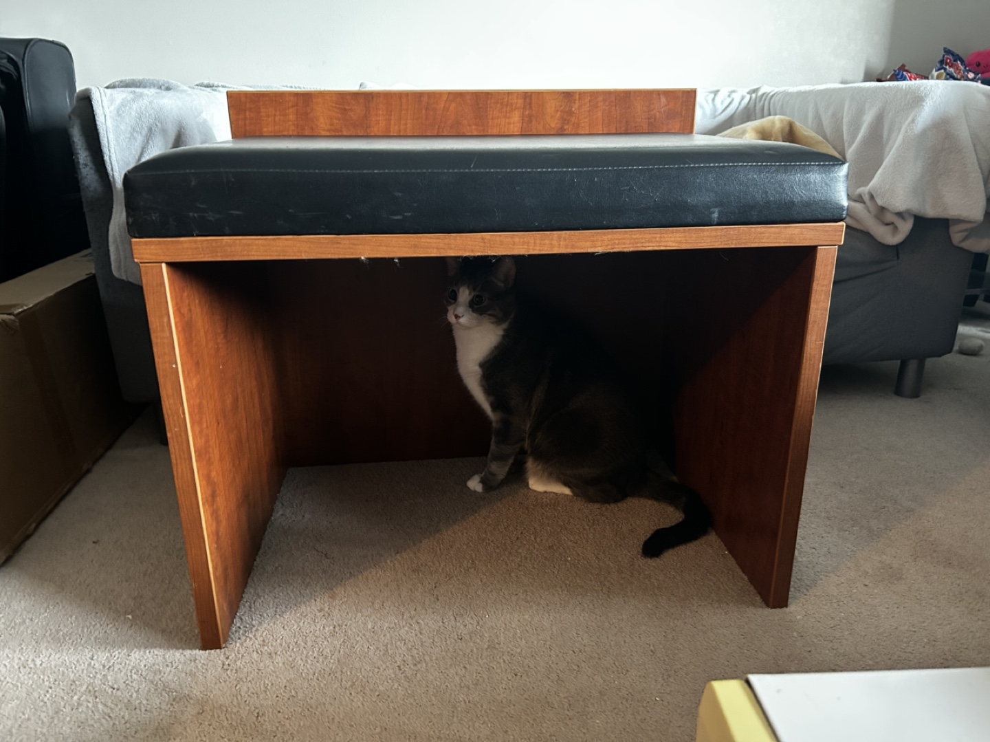 Wooden Bench with Black Cushion