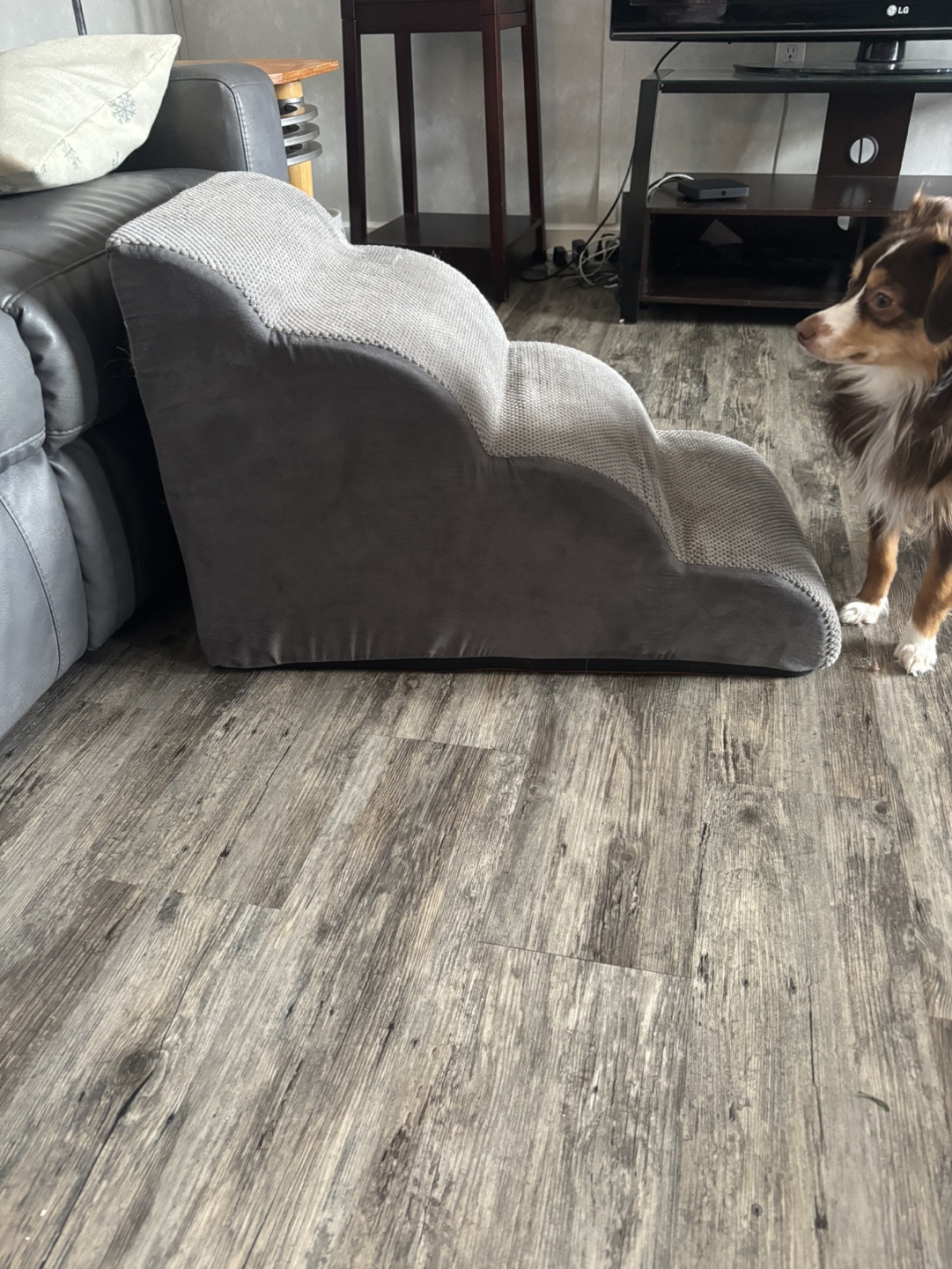 Pet Steps - Grey - 4 Steps - photo 2