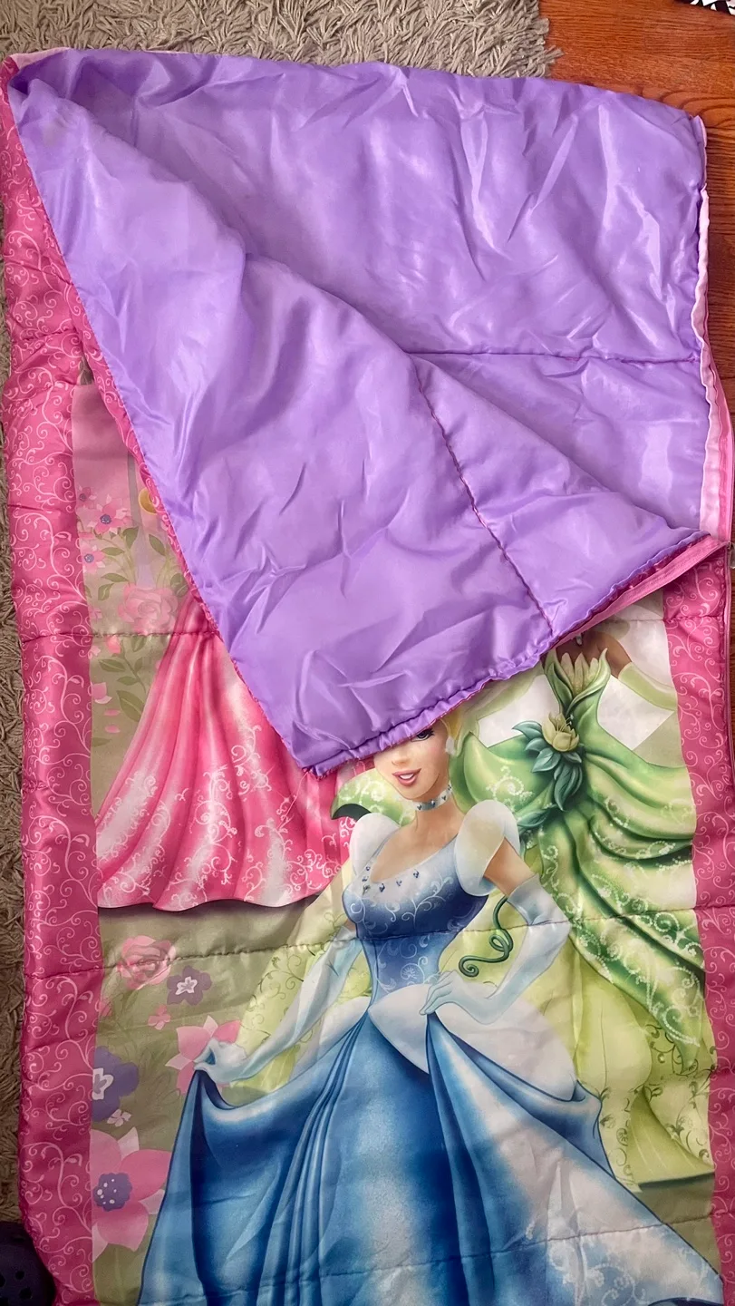 🏈 Disney Princess Sleeping Bag image indicator(2)
