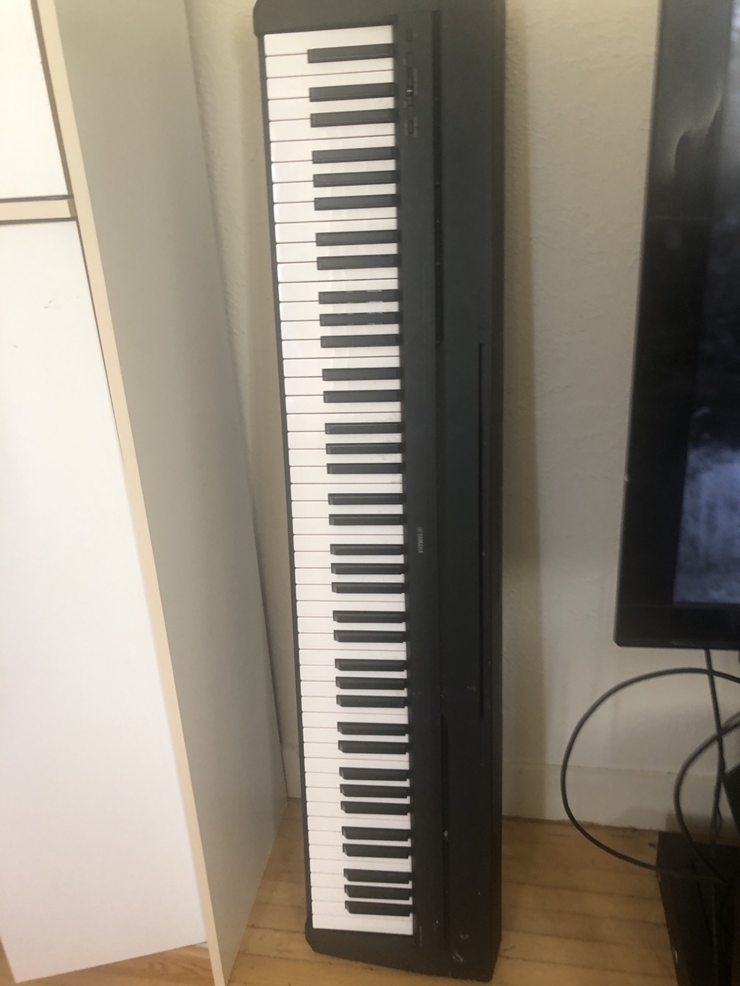 Portable Keyboard with Stand
