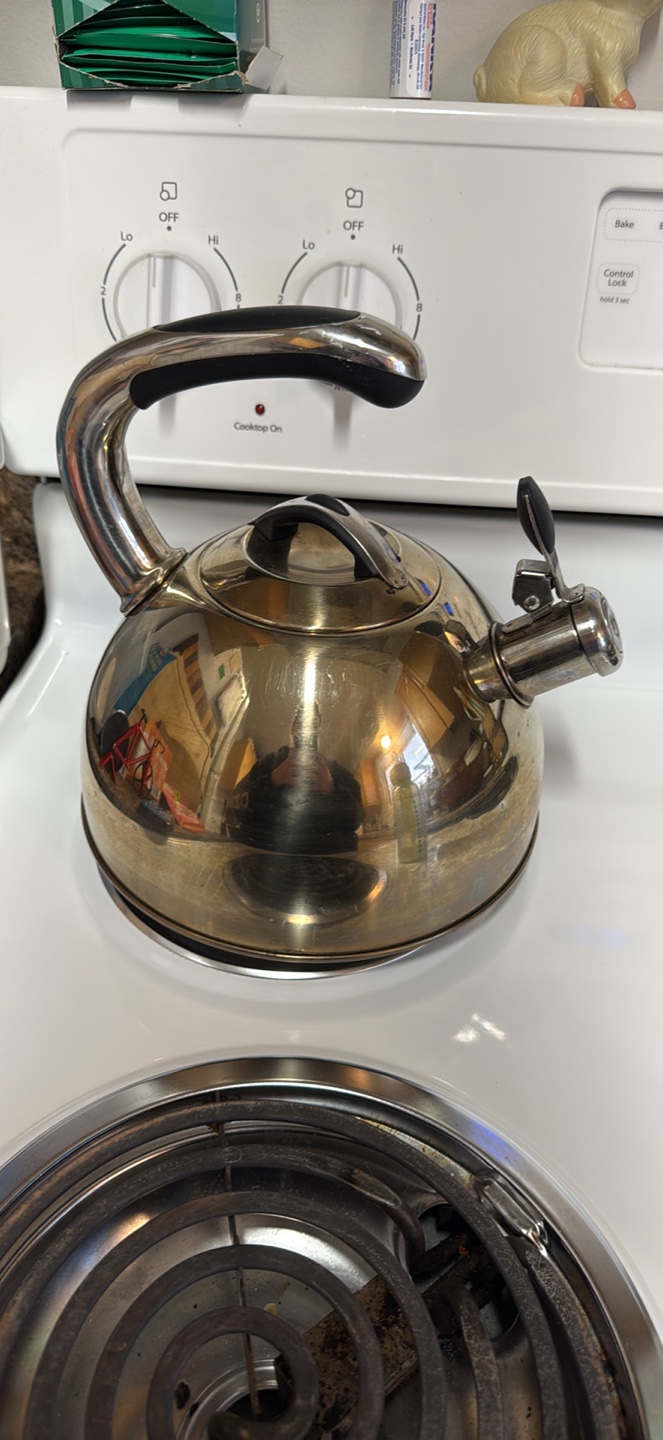 Stainless Steel Stovetop Kettle