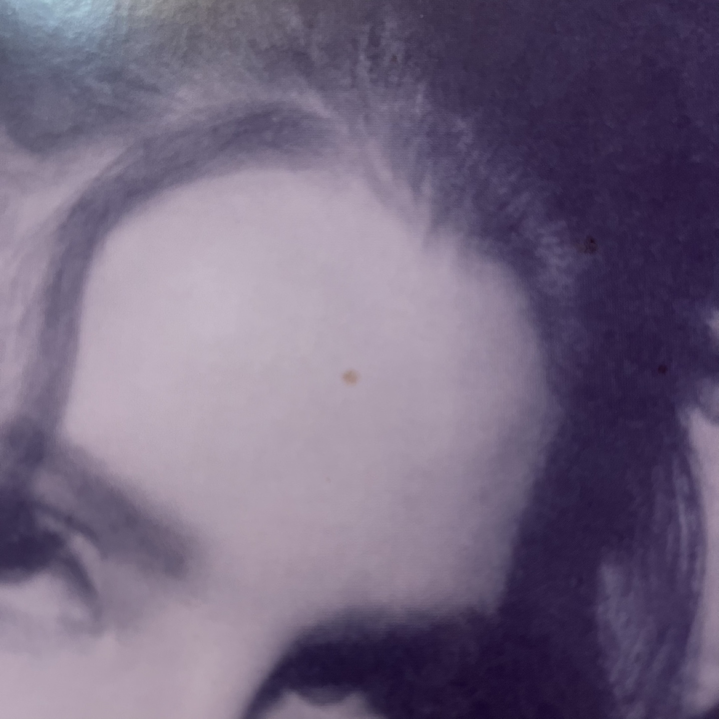 Lana Del Rey Ocean Blvd Vinyl - photo 3