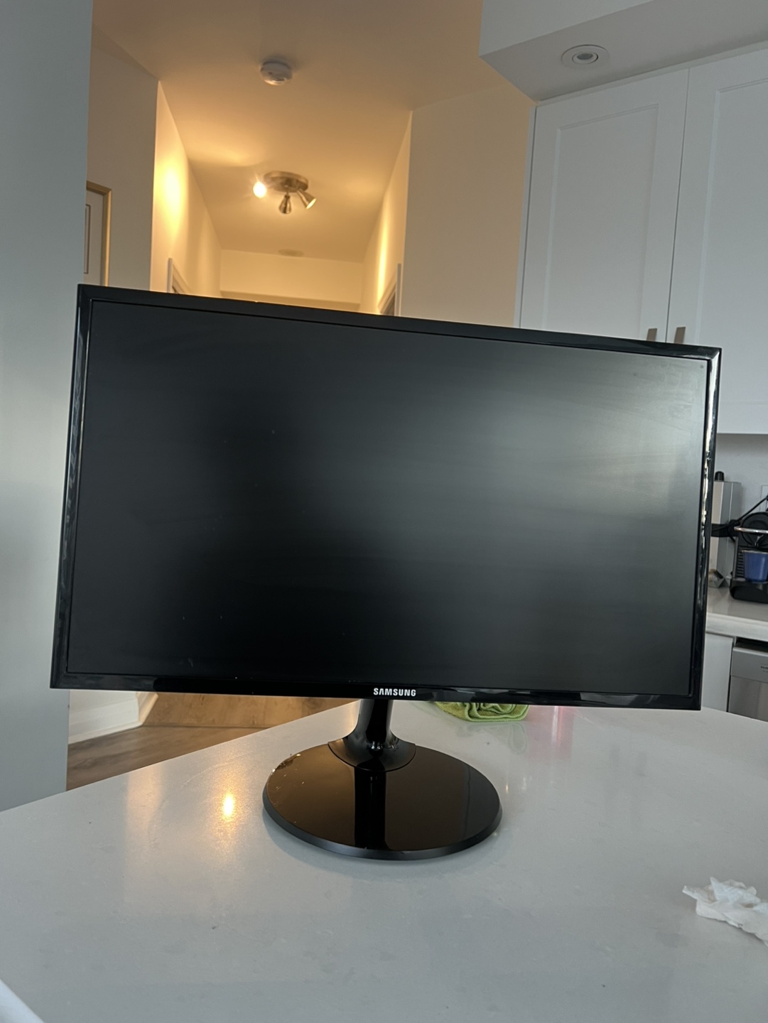 Samsung 24-inch LED Monitor - LS24F350FHEXXS