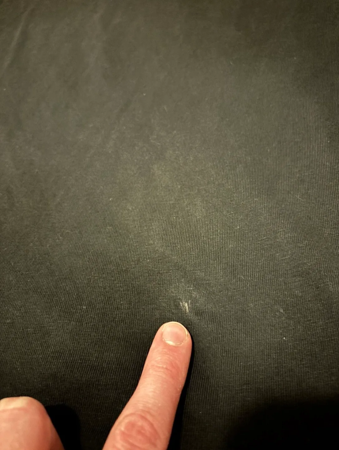 Rhude Dimora T-Shirt image indicator(5)