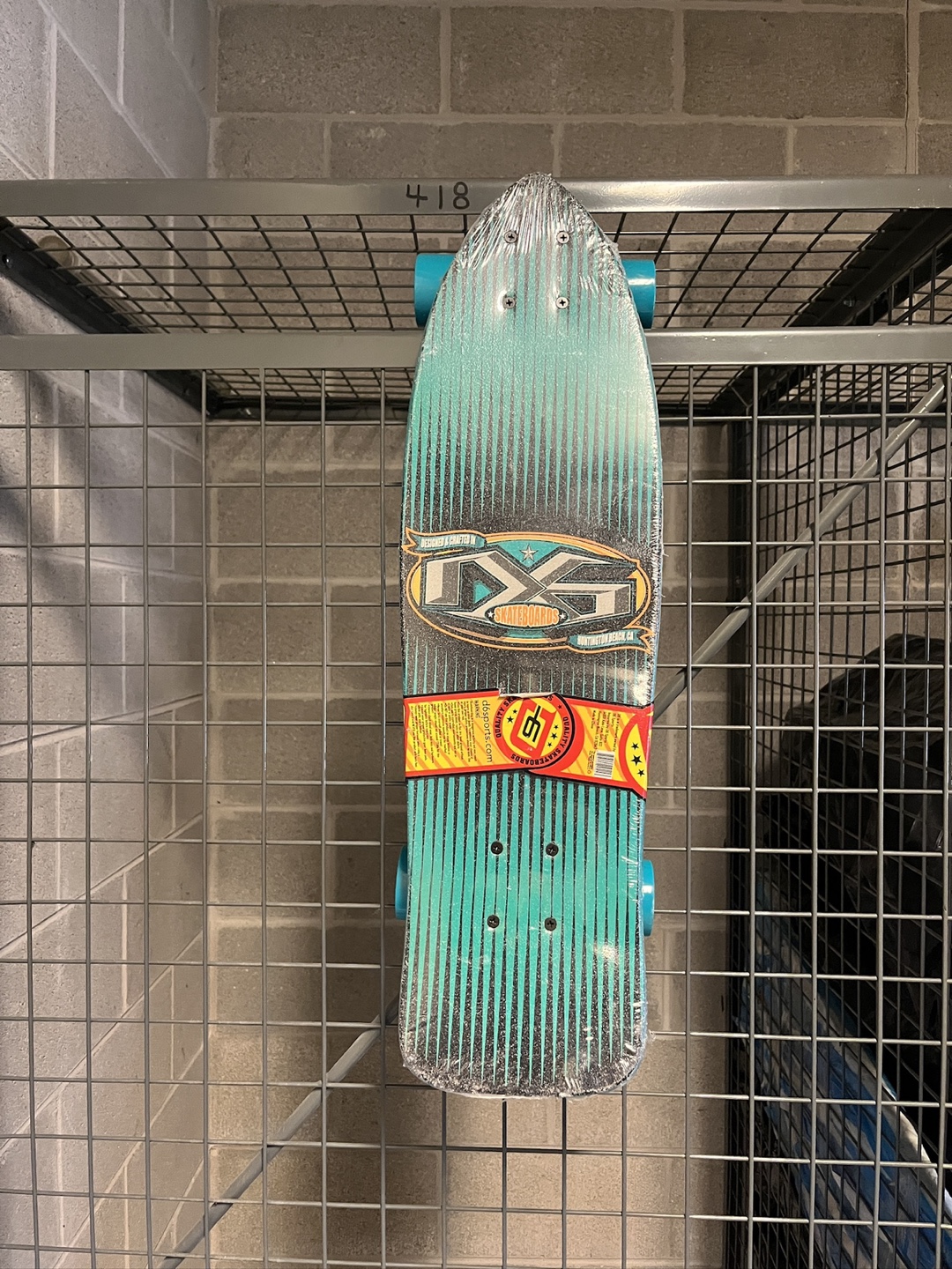 DXG Skateboards Cruiser Complete - Teal/Black