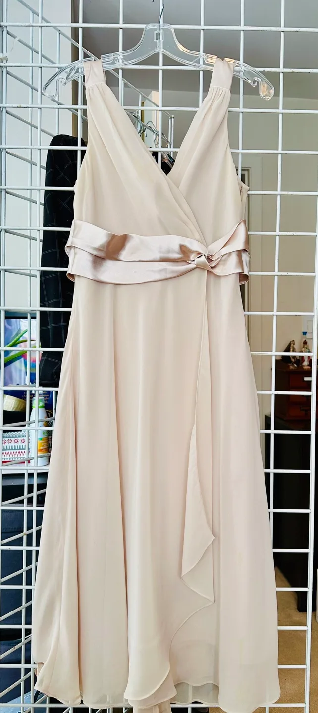 Evan-Picone Size 12 Champagne-Colored Dress thumbnail