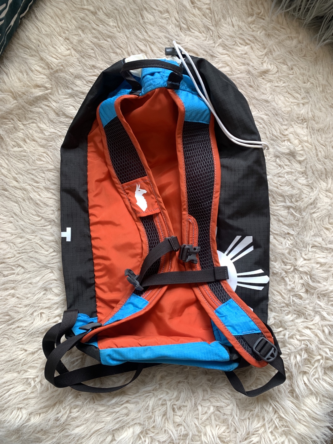 18L Cotopaxi Backpack - photo 2