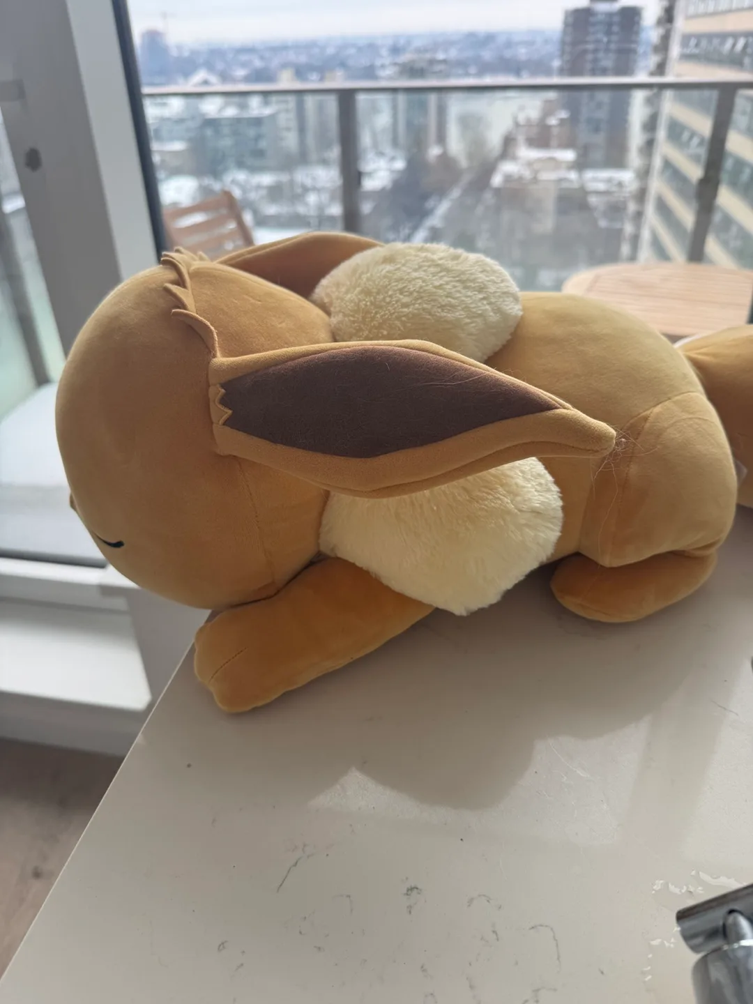 Evee pokemon splush image indicator(2)