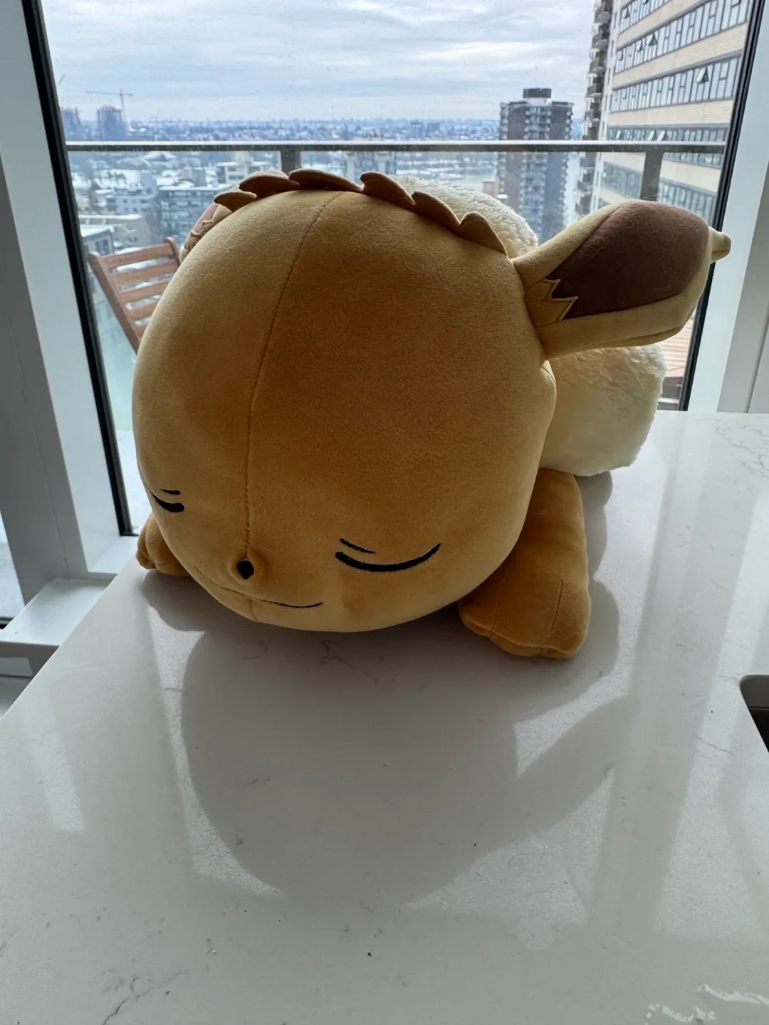 Evee pokemon splush image indicator(3)