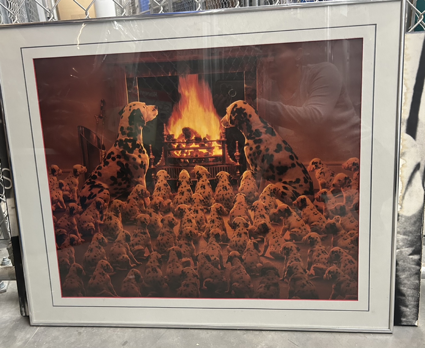 Framed Dalmatian Puppies Print - photo 2