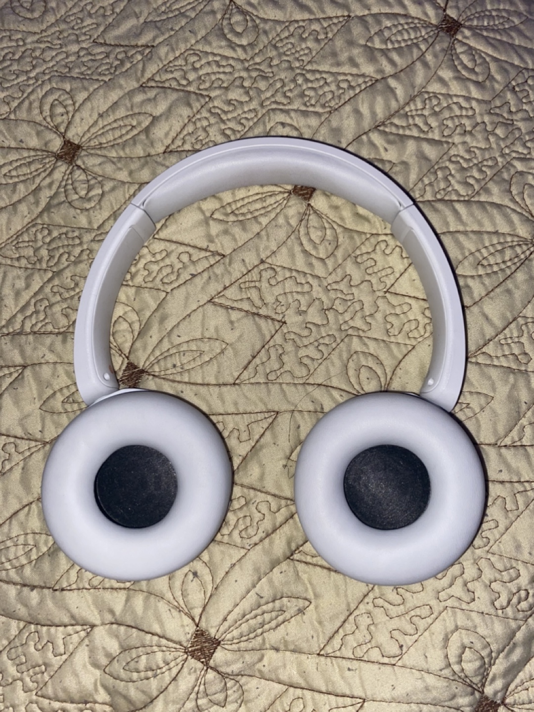 Sony Wireless Headphones
