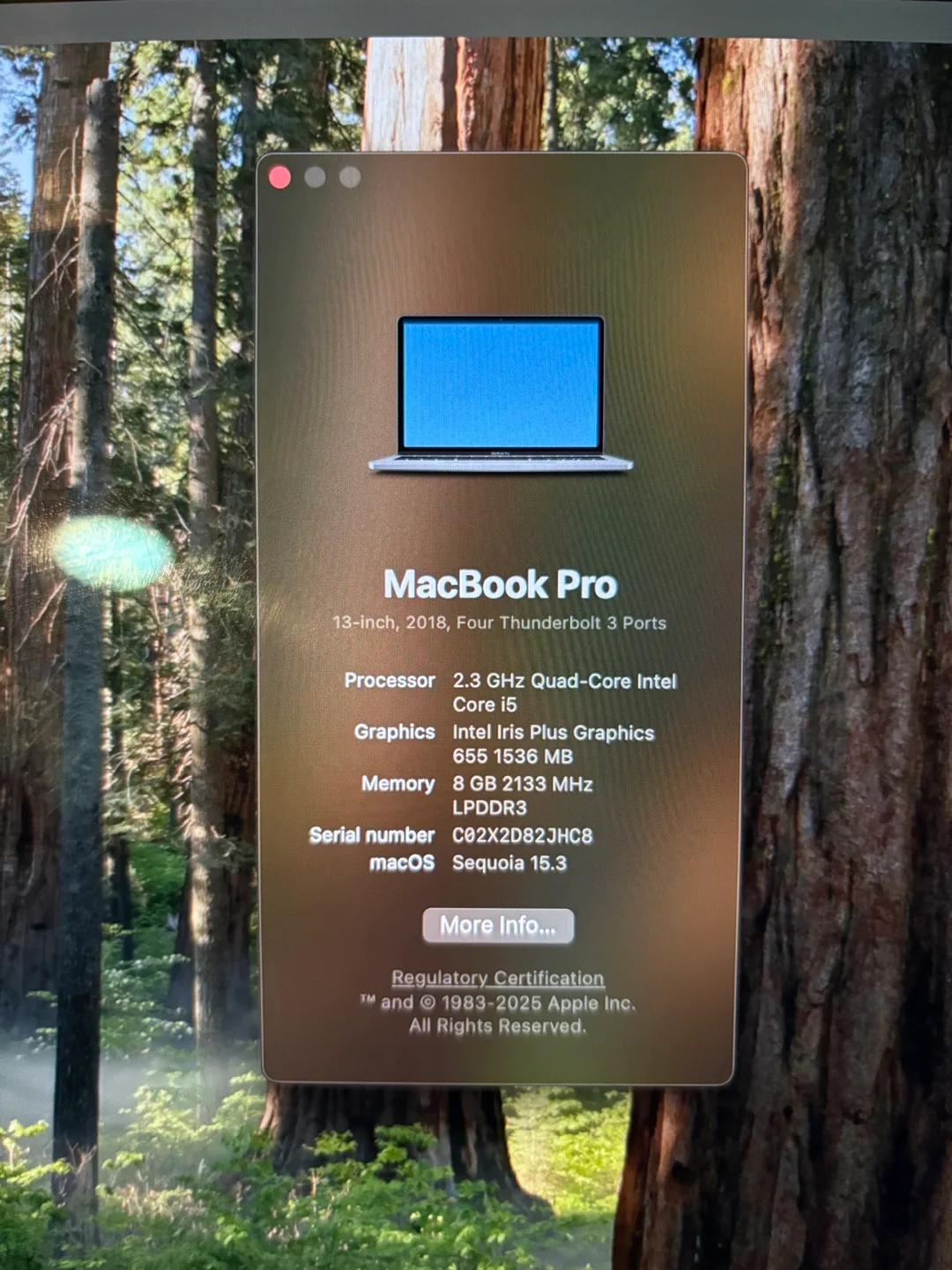 13-inch MacBook Pro, 2018 image indicator(5)
