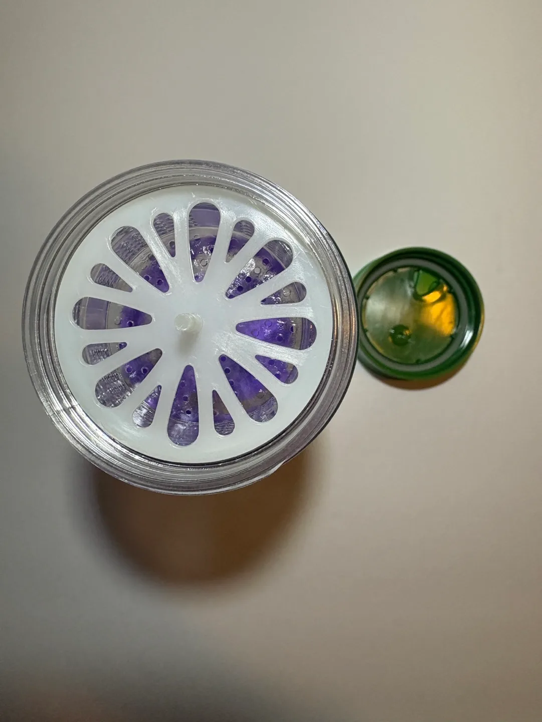 *New* Plastic Fruit Infuser Water Bottle image indicator(3)