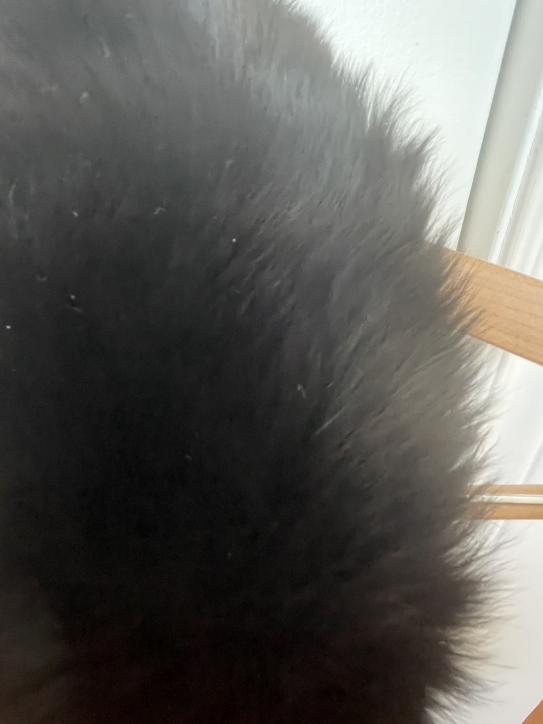 Black Mink Fur Collar - photo 2