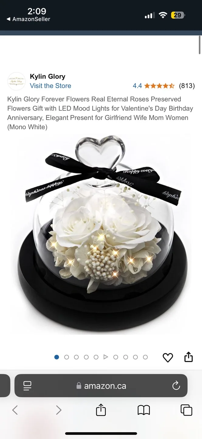 Valentine’s Gift Preserved Real White Rose Led Light Glass Dome image indicator(4)
