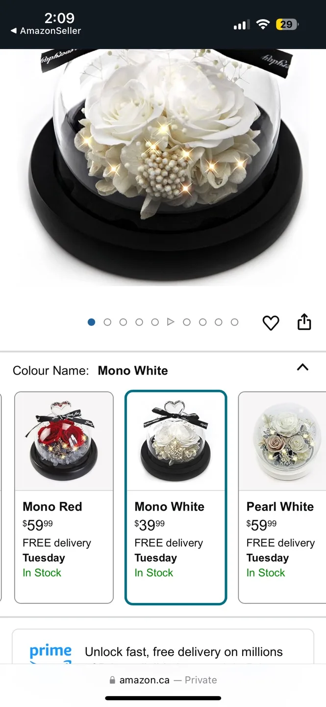 Valentine’s Gift Preserved Real White Rose Led Light Glass Dome image indicator(5)