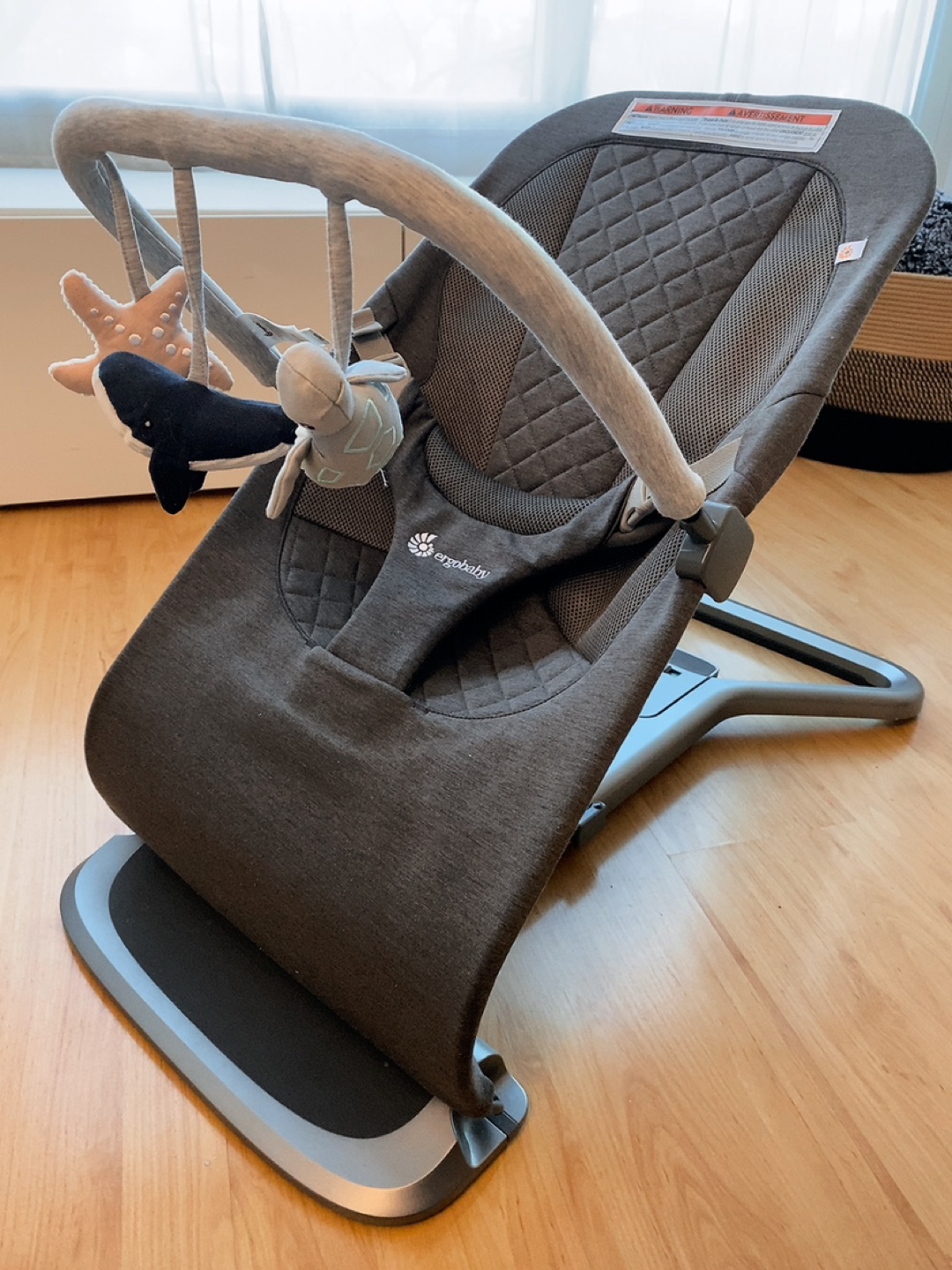 ErgoBaby “Evolve” 3-in-one bouncer (EUC) + rattle toy bar