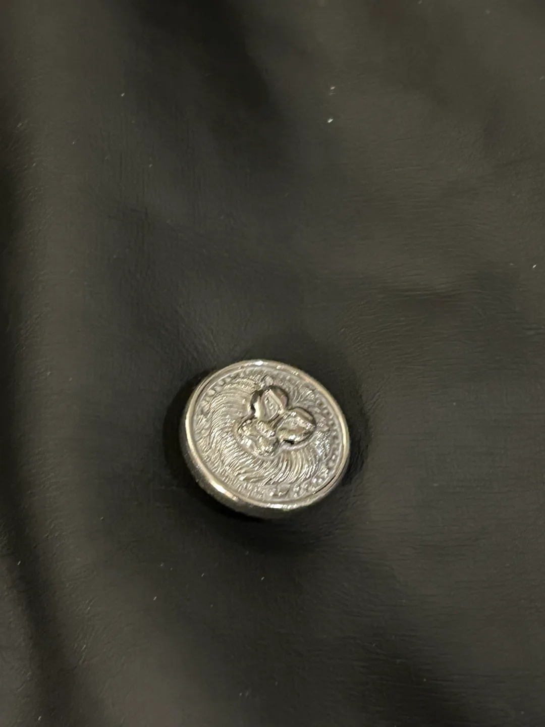 Leather Coat image indicator(3)