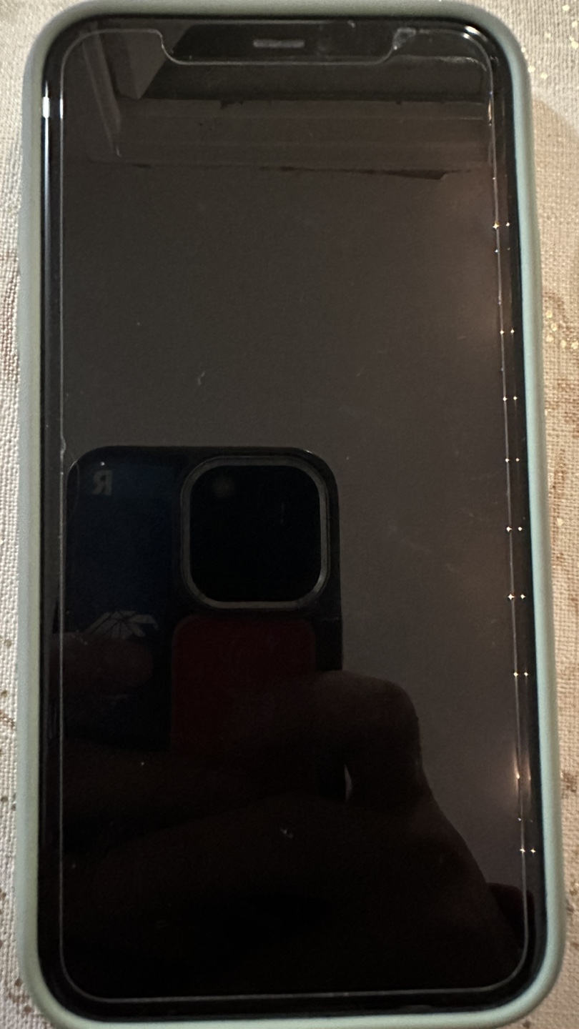 iPhone 11 - photo 3