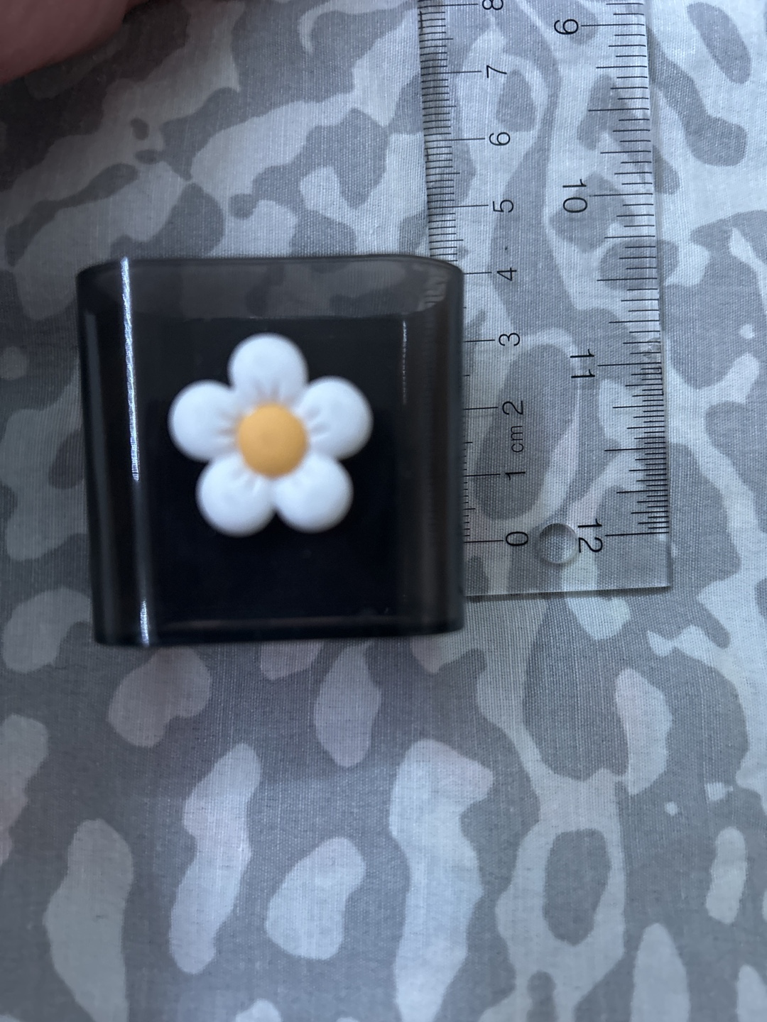Airpods Case