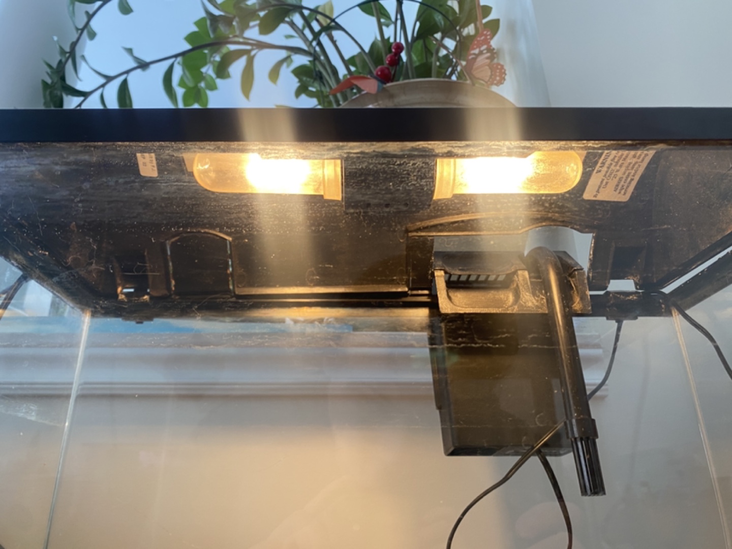 Aquarium Fish Tank 10 Gallon - photo 3