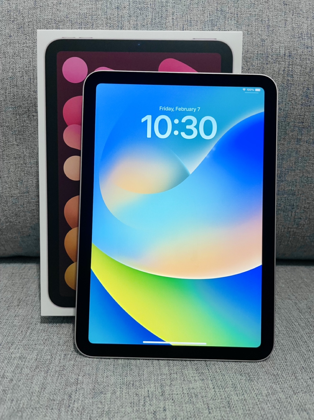 Apple iPad Mini 6th Gen Wi-Fi 64GB Pink - photo 3
