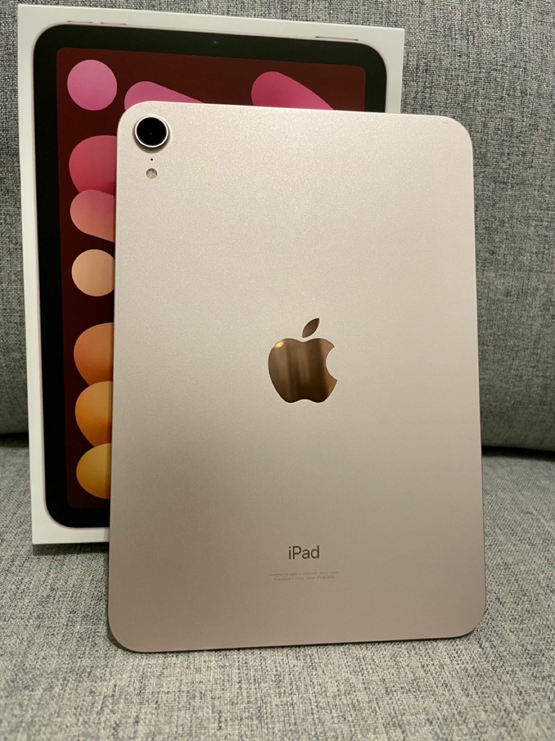 Apple iPad Mini 6th Gen Wi-Fi 64GB Pink - photo 2