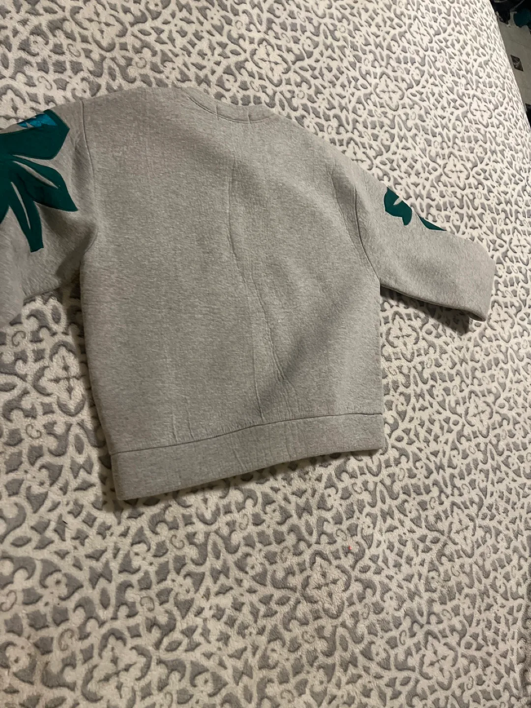 🏈J.Brown Grey Parrot Sweatshirt image indicator(5)