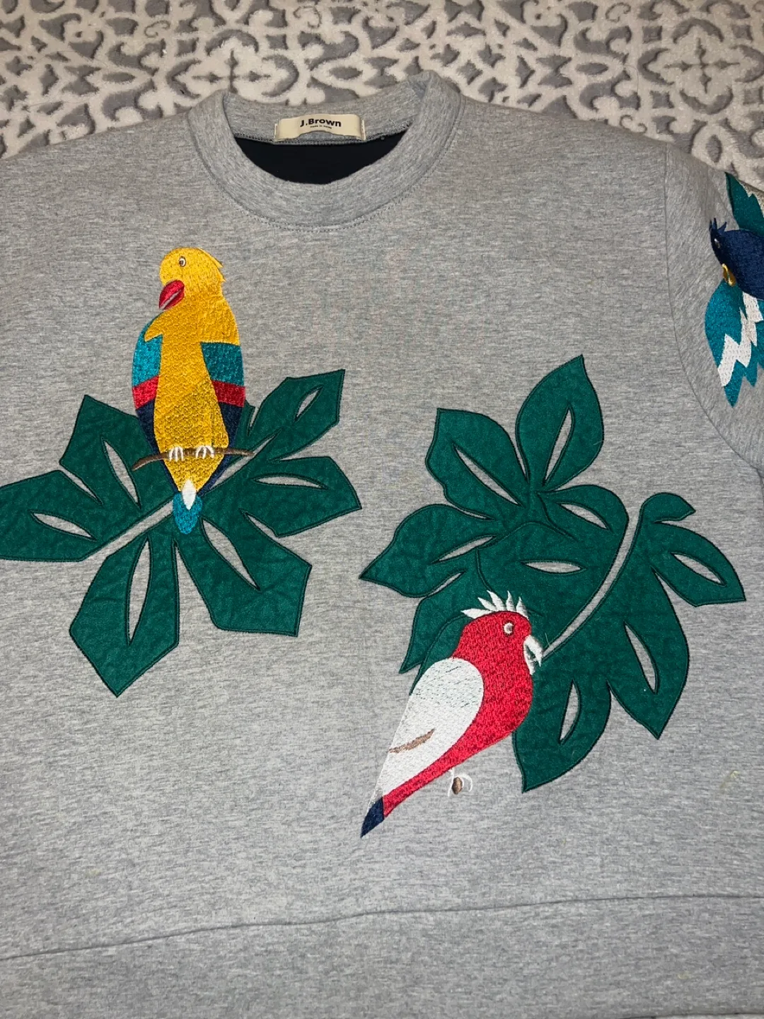 🏈J.Brown Grey Parrot Sweatshirt image indicator(2)