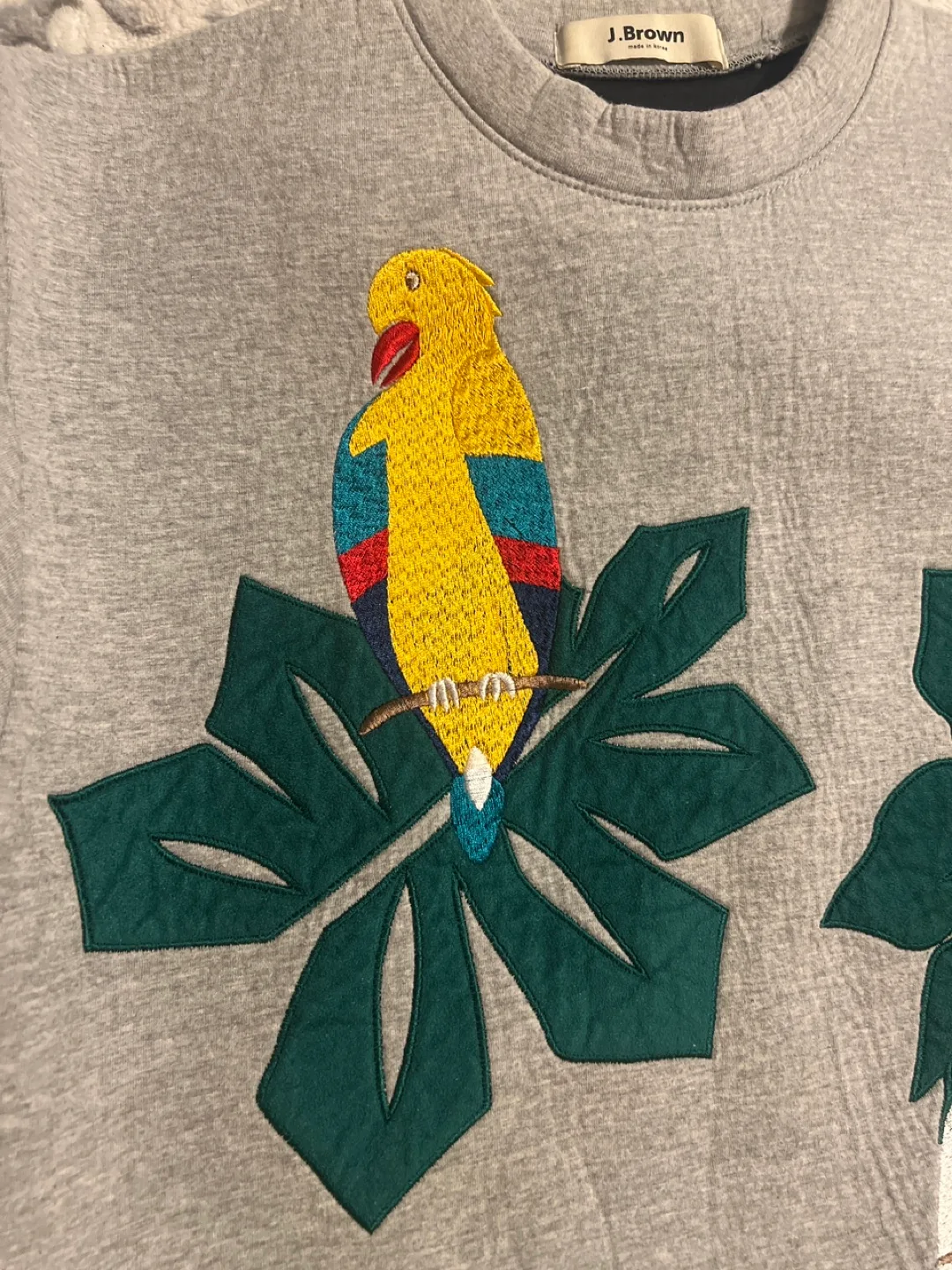 🏈J.Brown Grey Parrot Sweatshirt image indicator(7)