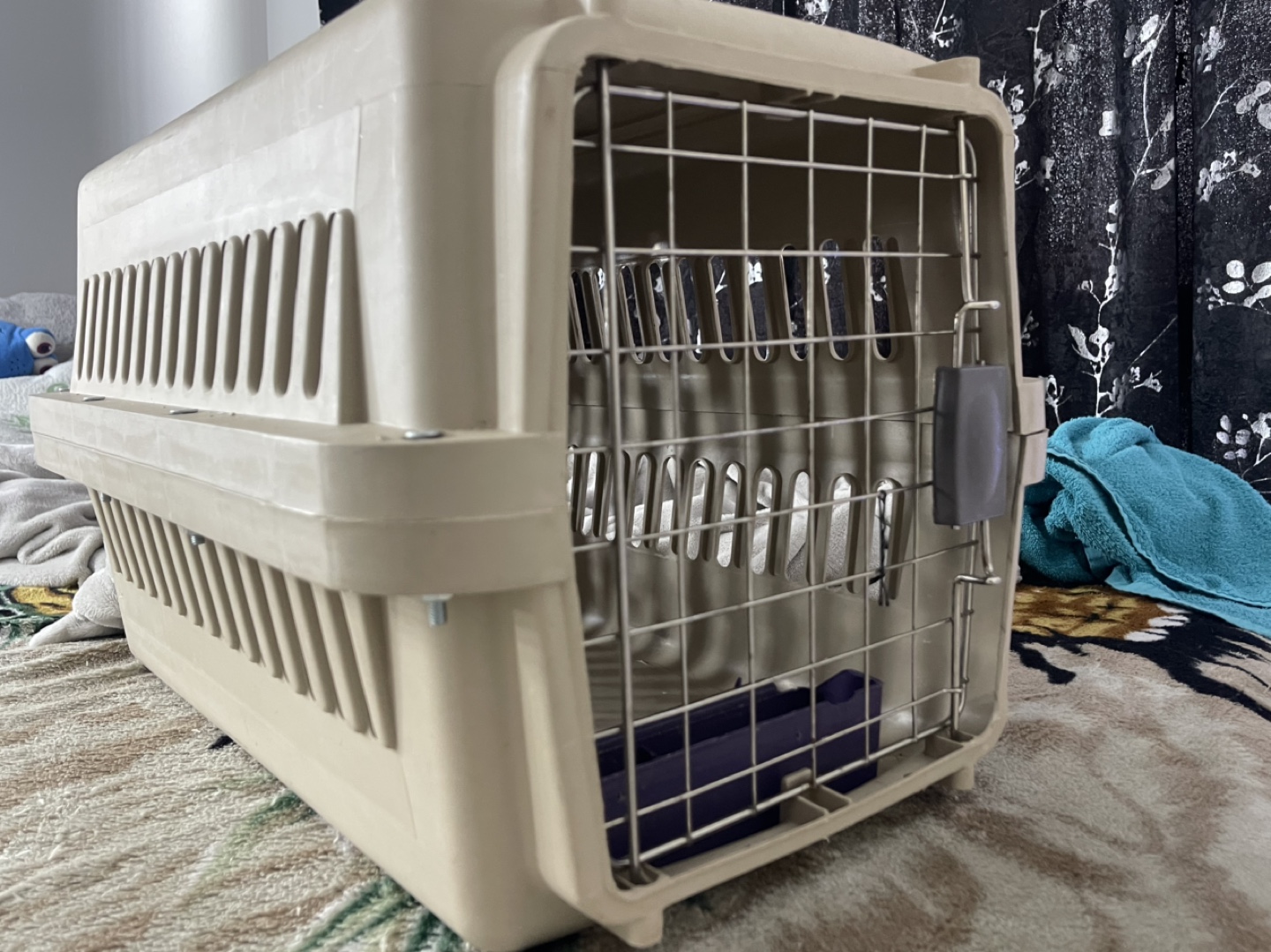 Pet Travel Carrier